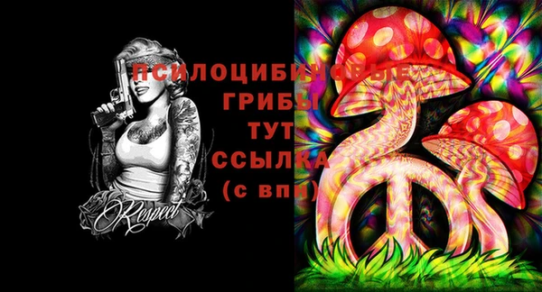 кокаин перу Вяземский