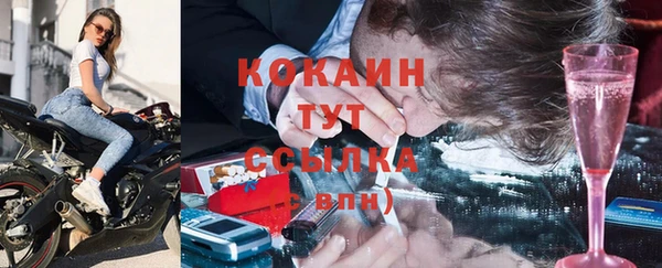 apvp Снежногорск