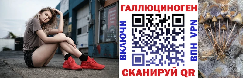 Галлюциногенные грибы Cubensis купить наркоту мега ONION Отрадное