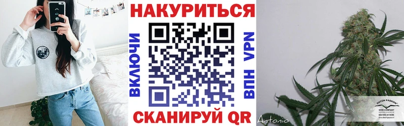 Шишки марихуана сатива  Отрадное 
